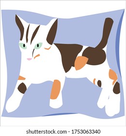 Calico Cat is a female cat which has three different colors on her coat