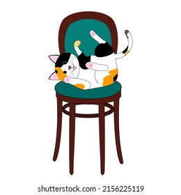 A calico cat on a wooden chair white background