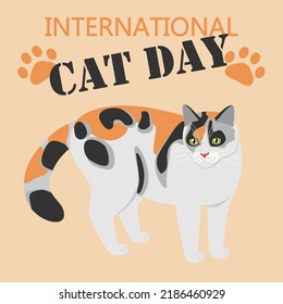 Calico cat and paw in flat style isolated on orange background for International cat day, 8 August. Beautiful hand drawn tri-color kitten illustration concept design for poster, banner, greeting card