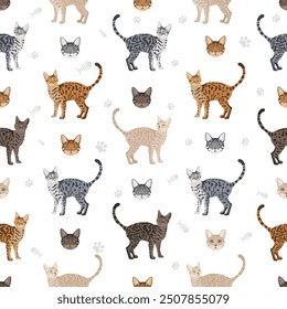 Califoria Spangled Cat clipart. All coat colors set.  All cat breeds characteristics infographic. Vector illustration