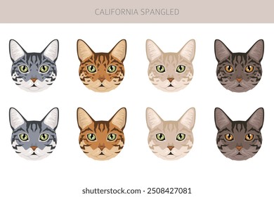 Califoria Spangled Cat Clipart. Alle Fellfarben eingestellt.  Alle Katze Rassen Merkmale Infografik. Vektorgrafik