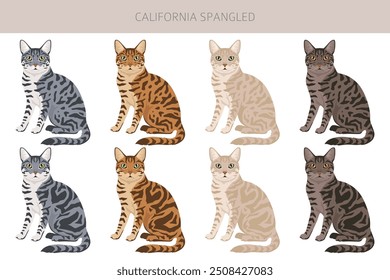 Califoria Spangled Cat Clipart. Alle Fellfarben eingestellt.  Alle Katze Rassen Merkmale Infografik. Vektorgrafik