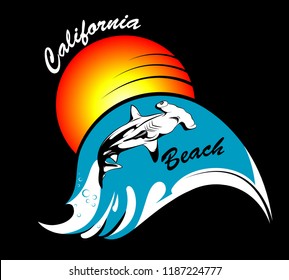 California beach wave and shark