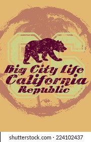 california big city  bear vector art