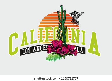 California birds graphic design vector art