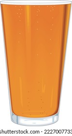 California Common Ale Vector Illustration