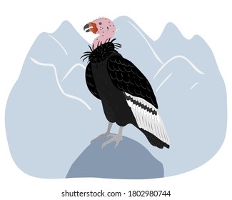 California condor sitting on a blue mountain landscape. Animals of North America.