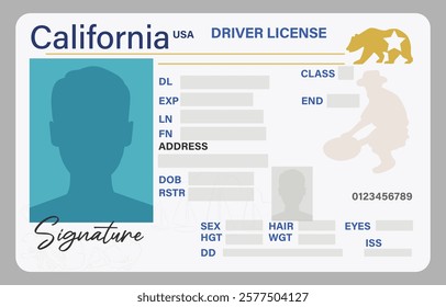 California driver's license isolated on white background. Person driver license artwork.