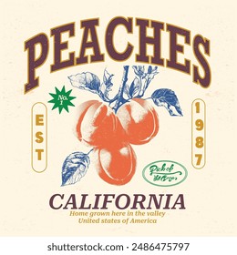 California Fruit Club, No.1 Vector de melocotones, Arte vectorial de melocotón con tipografía, ilustración de fruta vintage retro para camiseta, impresión gráfica, diseños de camiseta de frutas de melocotón, gráfico de niñas, moda de comida de las mujeres