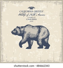 California grizzly, Wildlife of America, illustration, vector, vintage