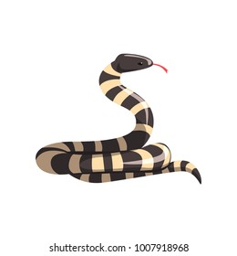 California king snake with black and white bands. Cartoon large reptile with tongue out. Colorful wild serpent. Non-venomous creature. Flat vector design