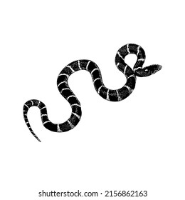 California Kingsnake Hand Drawing Vector Illustration Isolated On White Background