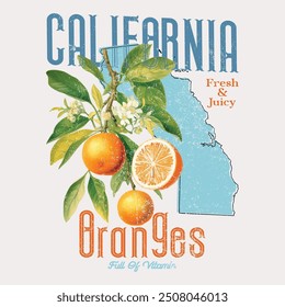 California map Orange print design, summer fruit print for food fashion, fresh and juice, natural food print, Hand drawn vector fruit illustration. Engraved style. Vintage citrus illustration.