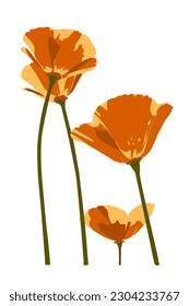 California poppies illustration, orange flowers for tattoo and all kind of illustrated work.