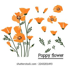 California poppy background.Eps 10 vector.