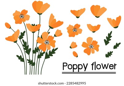 California poppy background.Eps 10 vector.