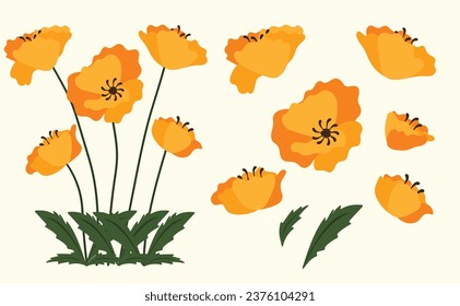 California poppy background.Eps 10 vector.