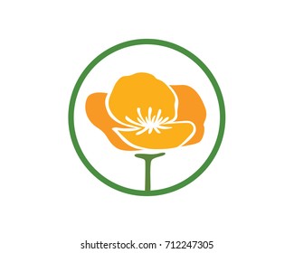 California Poppy Flower