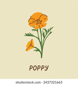 California poppy flower. Vector flat illustration