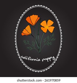 california poppy flowers