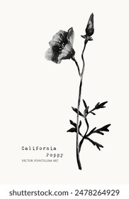 California poppy. Meadow flower. Pointillism illustration. Dot art. Vector floral. Black on white