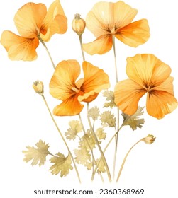 California Poppy   Watercolor floral arrangements with beautiful African Lily flower, Watercolor floral bouquet.