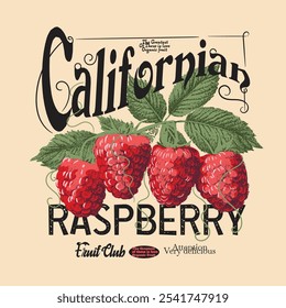 California Himbeer Obst Club Typografie Slogan Text. Vintage Retro Farbe Himbeer Frucht Illustration. Sommer tropische Lebensmittel Mode. Vektorfruchtgrafik. T-Shirt-Design. Fruchtdrucke. Kalifornien 