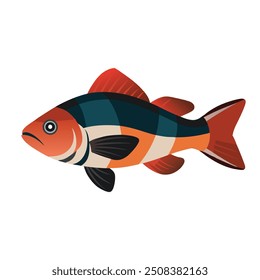 
California Sheephead Under water animal flat vector illustration.