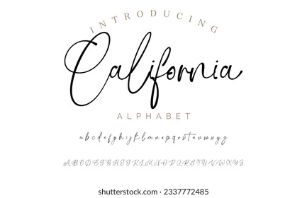 California signature font alphabet vector illustration isolated Background