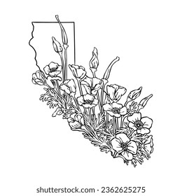 California state flower, California poppy flower lineart vector illustration, fits the California state map frame, cool for stickers, coloring books, t-shirts, etc.