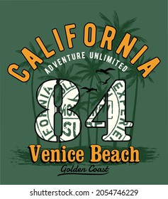 CALIFORNIA, SUMMER BOYS GRAPHIC TEES VECTOR DESIGNS AND OTHER USES