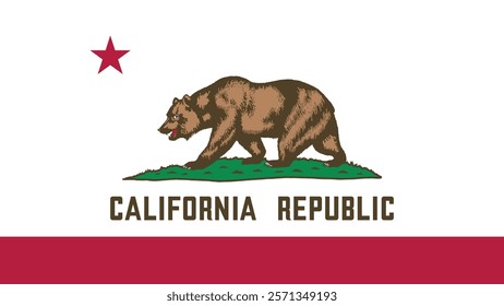 California US State Flag Vector Illustration