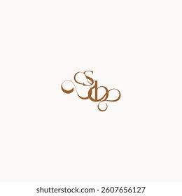 caligraphic style monogram luxury minimalist logo design BS wedding initial concept letter
