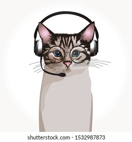 Call Center Cat. Cat With Phone Headset And With Glasses. Isolated On White Background. Customer Service. Customer Service Representative. Vector Illustrations.