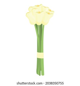 Calla bouquet icon cartoon vector. Lily flower. Floral gift