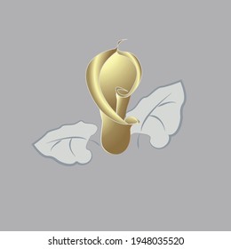 calla flower and 2 leaves on gray background