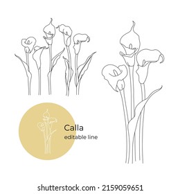 Calla flower was drawn in a minimalistic style with a line. Part of the collection of main flowers. Editable line.