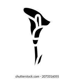calla flower glyph icon vector. calla flower sign. isolated contour symbol black illustration