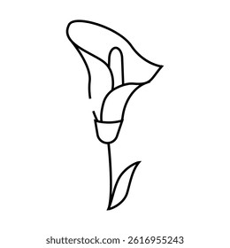 calla flower line icon vector. calla flower sign. isolated contour symbol black illustration