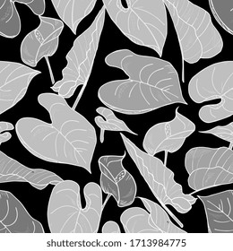 Calla flower seamless pattern. black and white engraved ink art. Floral tropical background , outline, hand-drawing.