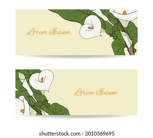 Calla flower set postcard coupon voucher banner background for design, for congratulations, invitations, place for an inscription, hand drawing.