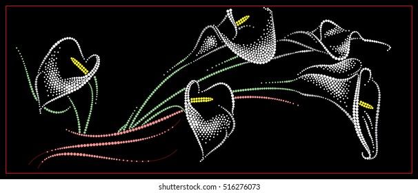 Calla flowers