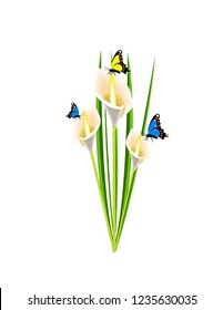 Calla flowers with butterflies