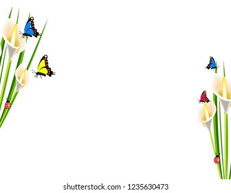 Calla flowers with butterflies