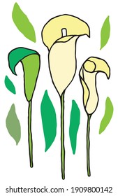 Flores de Calla al estilo Doodle de colores. Postal para un regalo o un dibujo para una camiseta. EPS vectorial 10