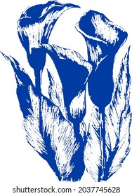 Calla flowers. Graphics for textiles, logos, posters, icon, design.