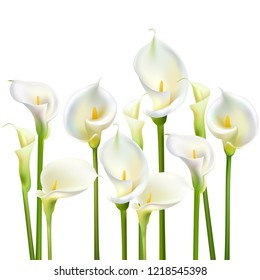 Calla Flowers. White Bouquet. Greeting Card Wedding.