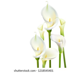 Calla Flowers. White Bouquet. Greeting Card Wedding.