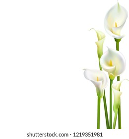 1,021 Calla lily border Images, Stock Photos & Vectors | Shutterstock