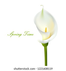 Calla Flowers. White Bouquet. Greeting Card Wedding. 